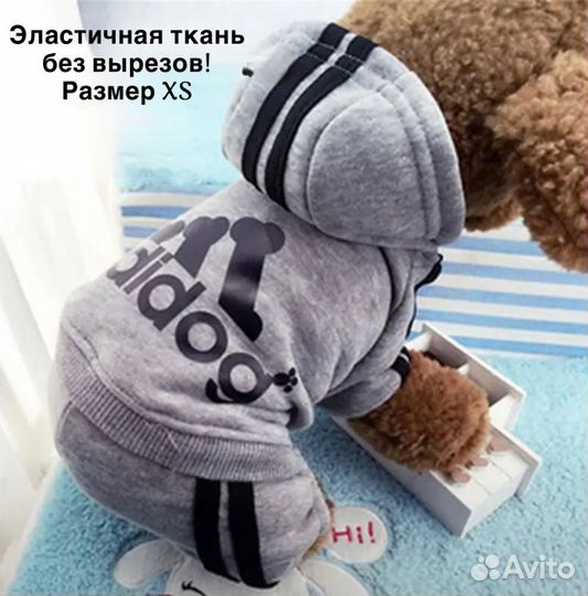 Комбинезон для маленькой собаки