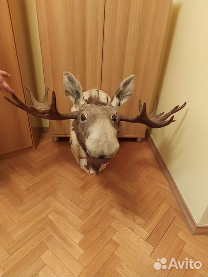 Предметы декора для интерьера