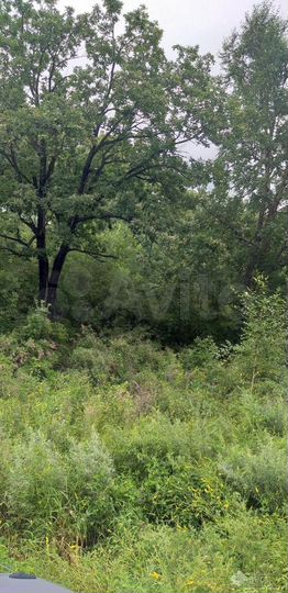 Участок 9 сот. (ИЖС)