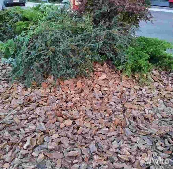 Щепа декоративная