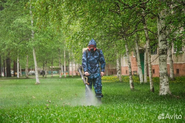 Уничтожение клопов тараканов клещей