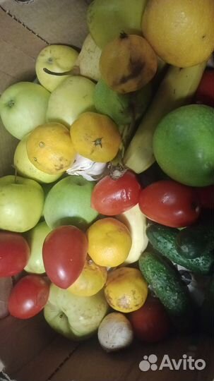 Овощи фрукты