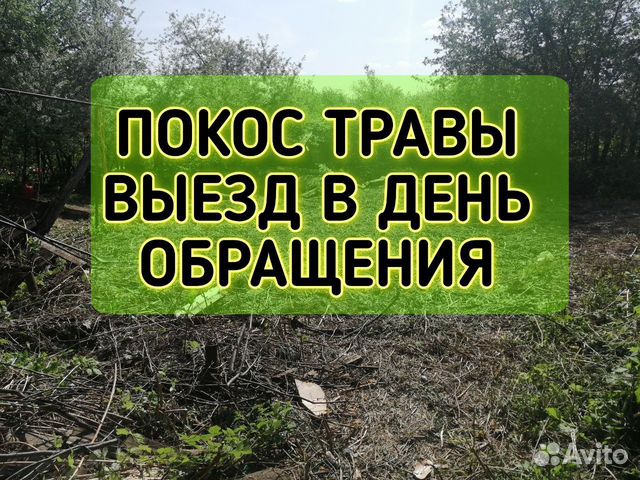 Покос травы триммером в Богородске | Услуги | Авито