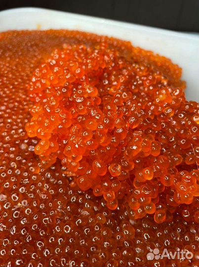 Красная икра розница и опт