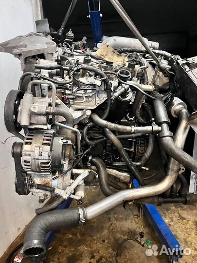 Двигатель Nissan Primera седан III 1.9 dCi (F9Q260