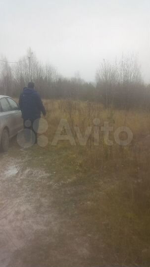 Участок 10 сот. (СНТ, ДНП)