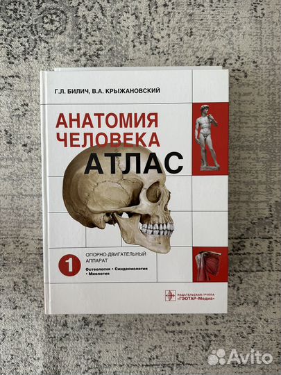 Атлас по анатомии Билич 2, 3 тома