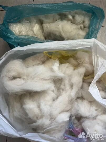 Собачья шерсть самоеда