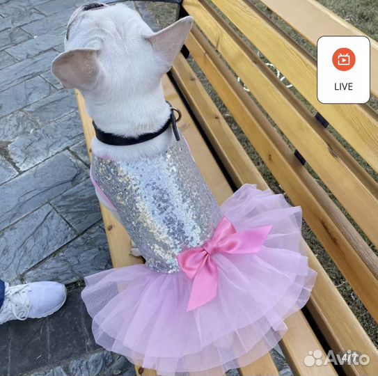 Комбинезон для собак