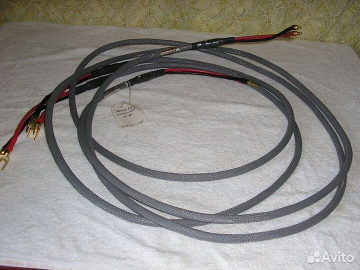 NBS dragonfly speaker cable