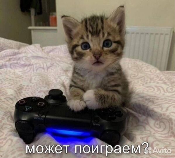 Подписка ubisoft+ ps4/5