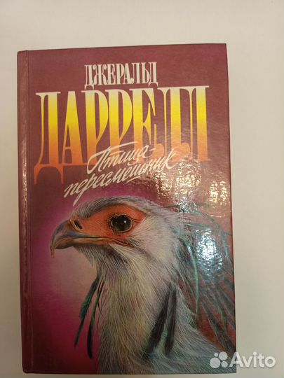 Даррелл птица-пересмешник