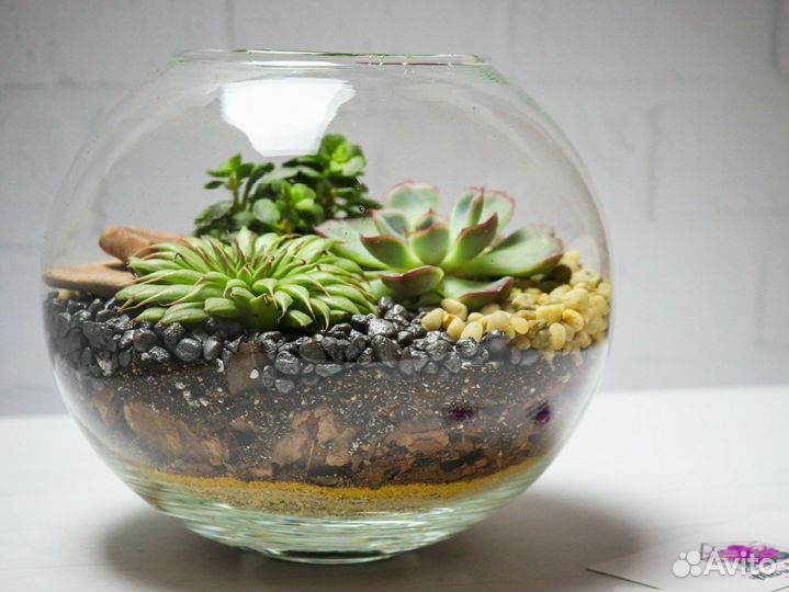 Флорариум на день рождения подарок