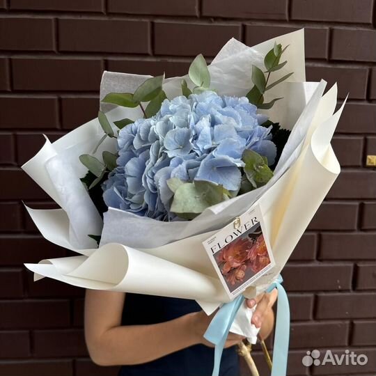 Гортензия / Доставка цветов / Букет цветов
