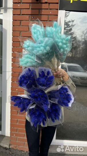 Лагурус цветной