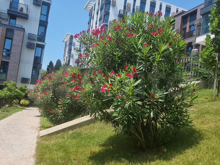 2-к. квартира, 38 м², 8/8 эт.