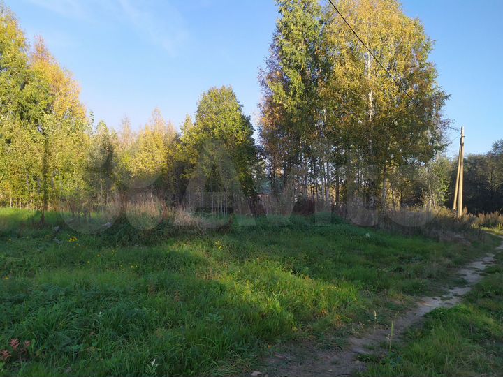 Участок 12 сот. (ИЖС)