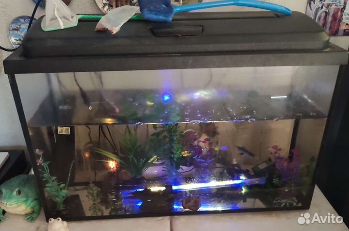 Аквариум 100л
