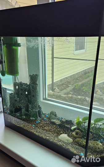 Аквариум 60л