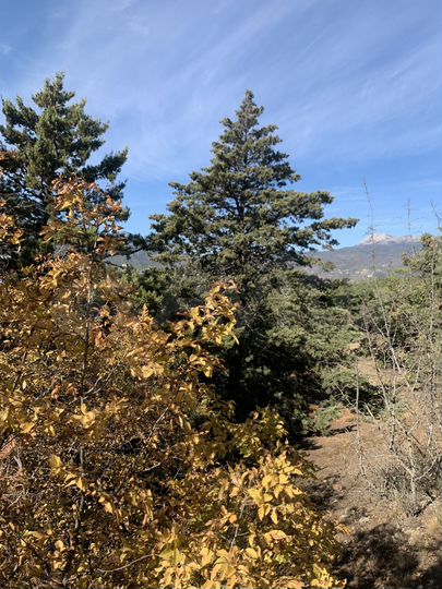 Участок 9 сот. (ИЖС)