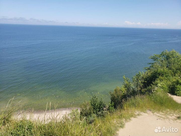 Индивидуальные путешествия а куршскую косу