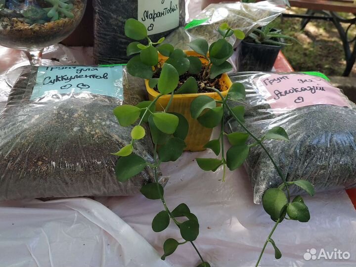 150. Грунт - Субстрат для цветов