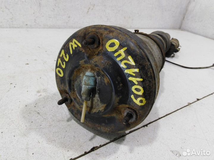 Пневмоамортизатор передний A2203202438