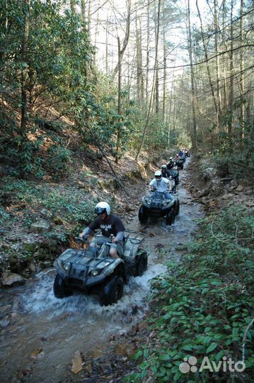 Прогулка на квадроцикле