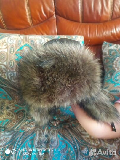 Шапка reima новая