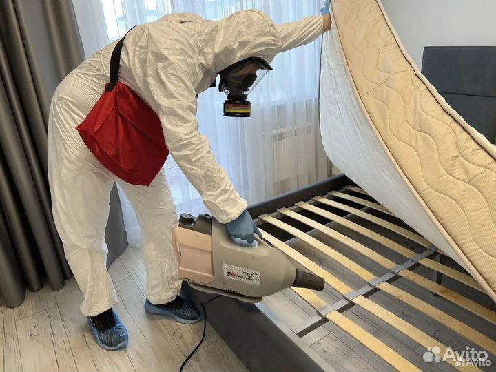 Уничтожение клопов, тараканов, блох / Дезинфекция