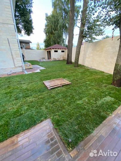 Рулонный газон