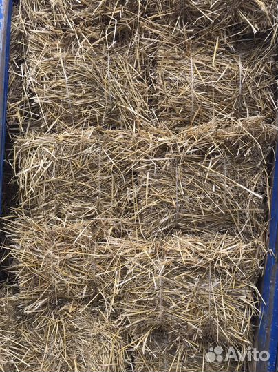 Солома в тюках