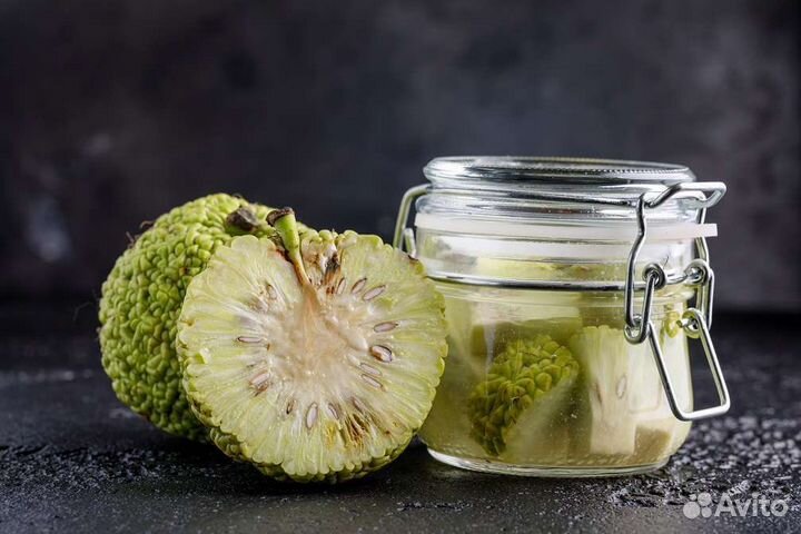 Мазь(Маклюра),лечение подагры,ревматизма и др