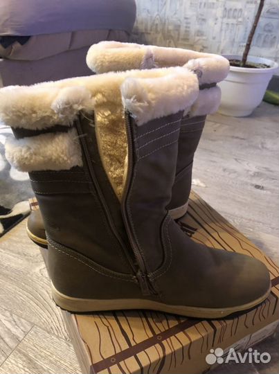 Сапоги женские