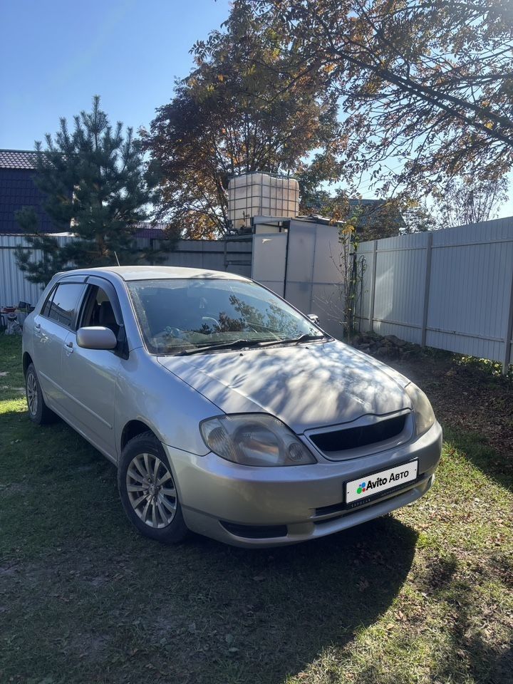 Toyota Corolla Runx: фото из отзыва