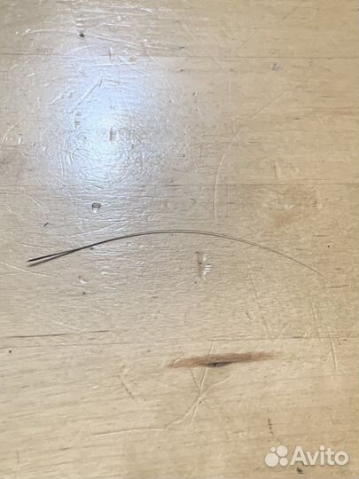 Кошачьи усы