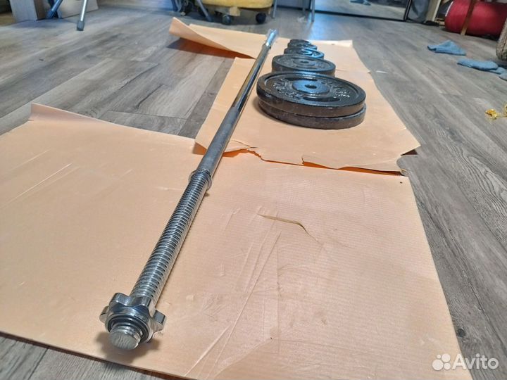 Штанга с блинами