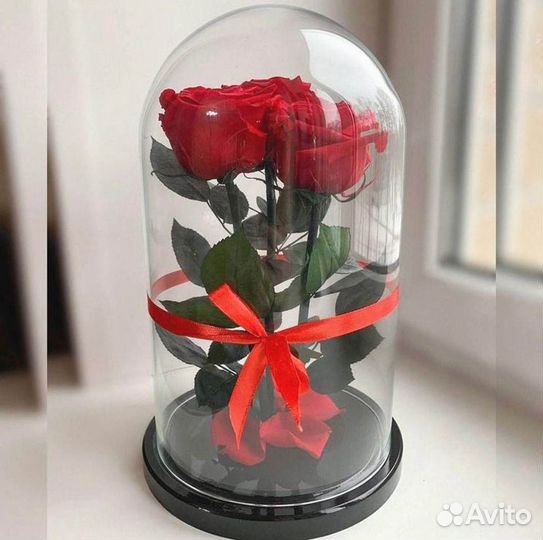 Роза в колбе. Любая композиция