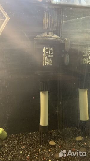 Готовый аквариум