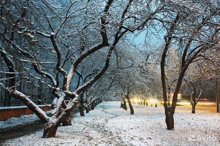 Зеркальный фотоаппарат canon 600d