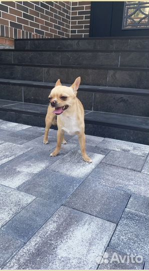 Брусчатка по госту