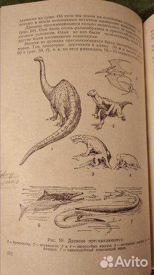 Антикварная книга 