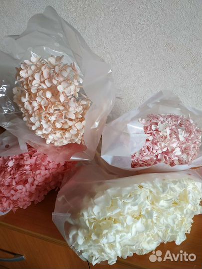 Остаток сухоцветы