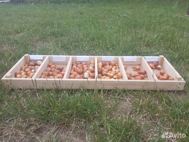 Ящик для хранения секционный