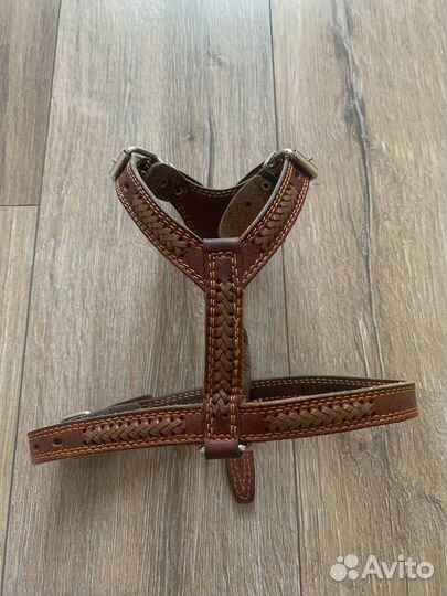 Шлейка для собаки