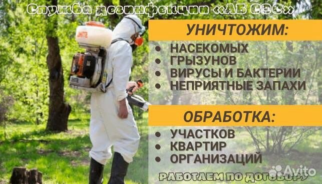 Уничтожение тараканов, обработка от насекомых