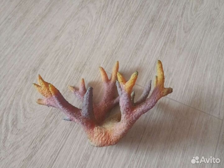 Для аквариума