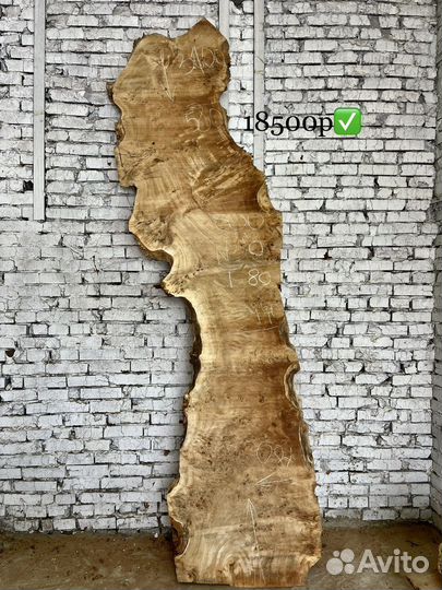 Слэб капового горного тополя