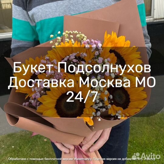Подсолнухи Цветы 9 15 25 51