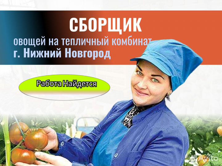 Сборщик овощей. Вахта г. Нижний Новгород